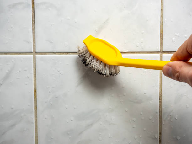 Best Black Mold Removal  in Madeira, OH