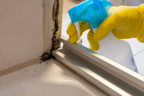 Best Mold Testing  in Madeira, OH
